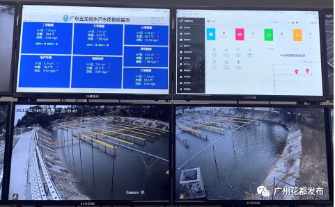 數字賦能 花都開啟現代農業4.0時代，互聯網銷售引領產業新變革